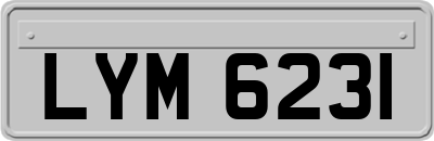 LYM6231