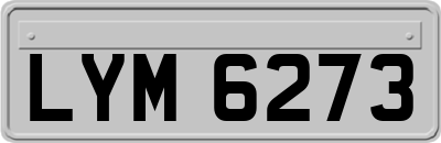 LYM6273