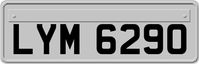 LYM6290