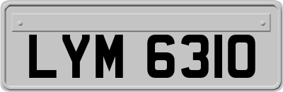 LYM6310
