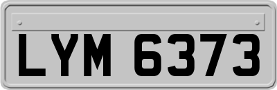LYM6373