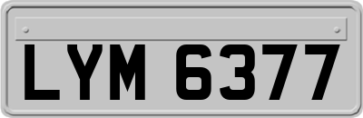LYM6377