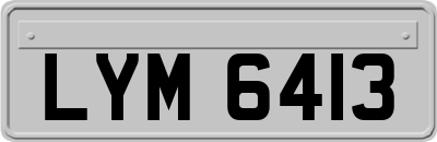 LYM6413