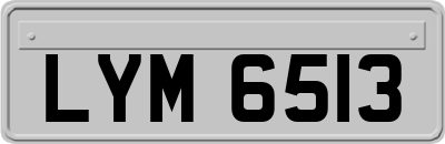 LYM6513
