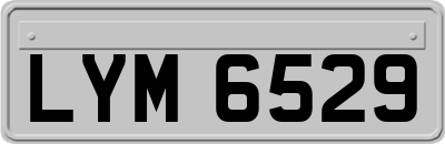 LYM6529