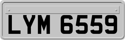 LYM6559