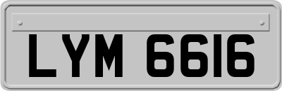 LYM6616