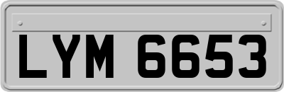 LYM6653