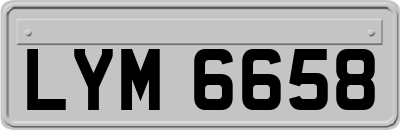 LYM6658