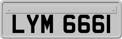 LYM6661