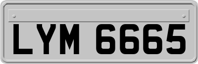 LYM6665