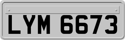 LYM6673