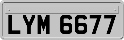 LYM6677