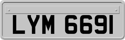 LYM6691
