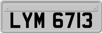LYM6713