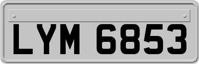 LYM6853