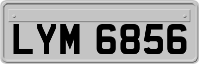 LYM6856