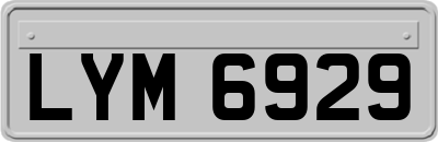LYM6929