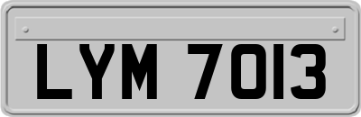 LYM7013