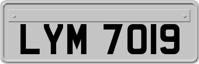 LYM7019