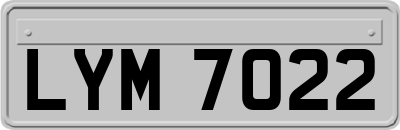 LYM7022