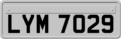LYM7029