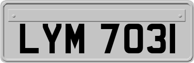 LYM7031