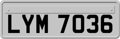 LYM7036