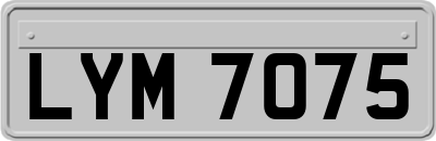 LYM7075