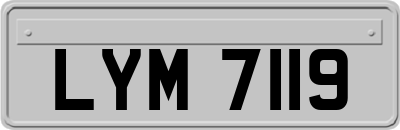 LYM7119