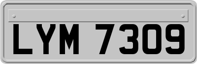 LYM7309