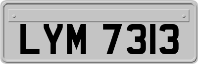LYM7313