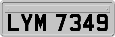 LYM7349
