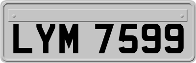 LYM7599
