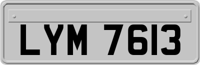 LYM7613