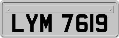 LYM7619
