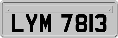 LYM7813