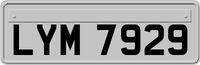 LYM7929