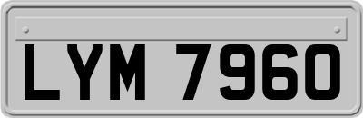 LYM7960