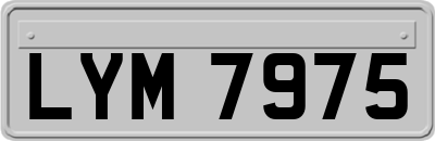 LYM7975