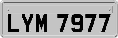 LYM7977