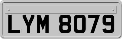 LYM8079