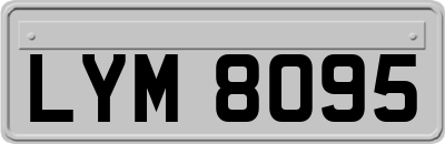 LYM8095
