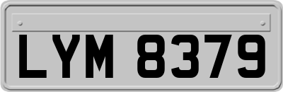LYM8379