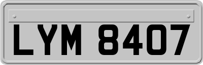 LYM8407