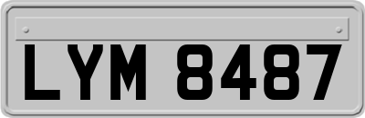 LYM8487