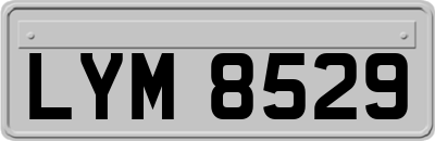 LYM8529