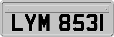 LYM8531