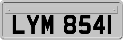 LYM8541