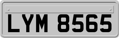 LYM8565